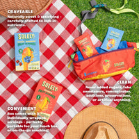 SOLELY Organic Whole Fruit Gummies, Three Ingredients | No Added Sugars, Artificial Colors or Flavors | Vegan Fruit Snacks